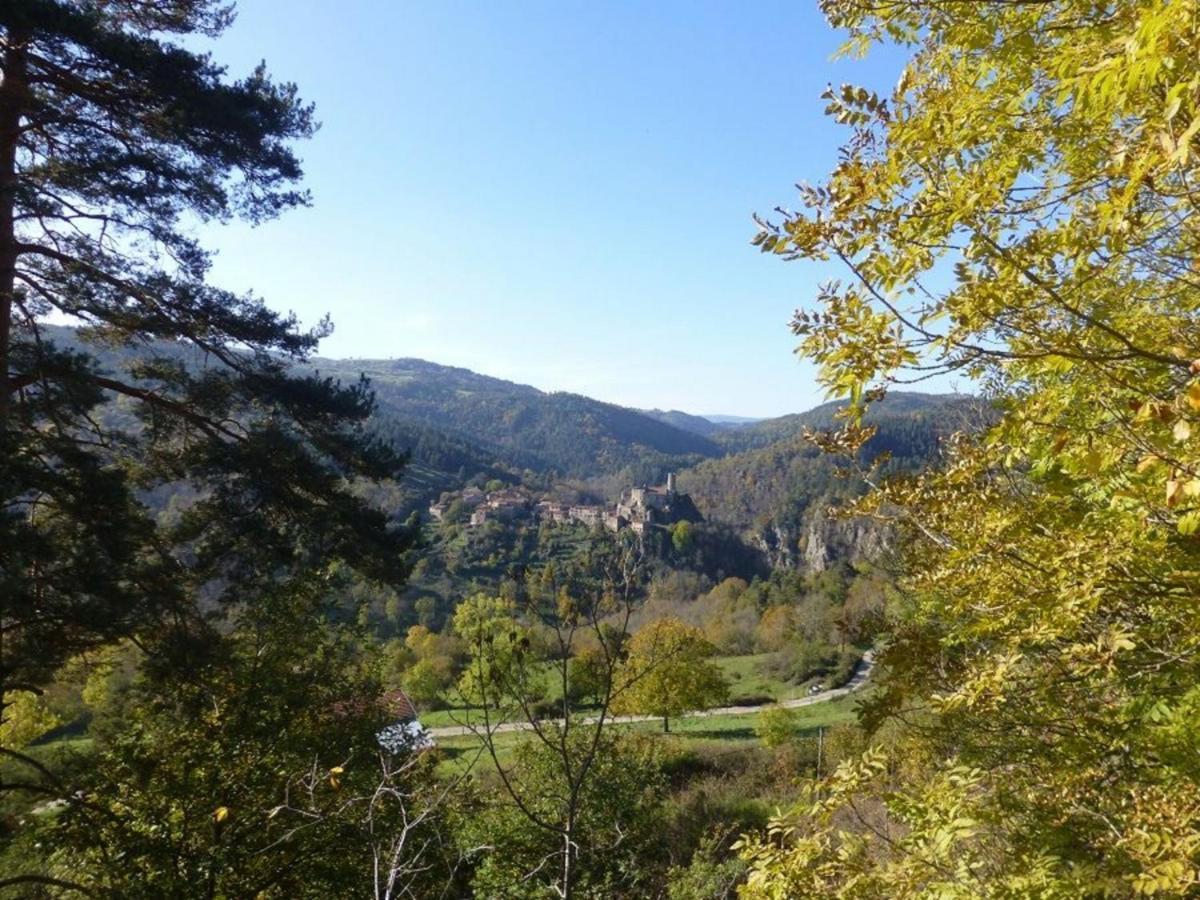 Gite En Pierre Avec Terrasses, Proche De Sites Medievaux, Ideal Pour Famille Avec Equipements Bebe. - Fr-1-582-256 Boisset  Kültér fotó